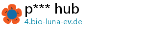 p*** hub