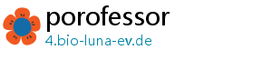 porofessor