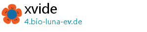 xvide